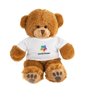 Plush teddy bear | Denis