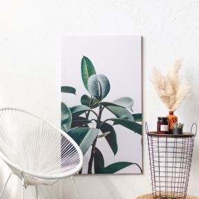 Photo canvas 70x120 cm