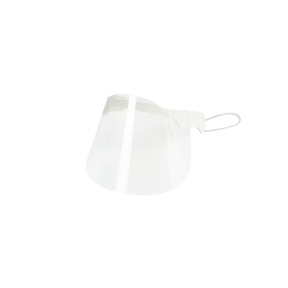 Nose and mouth shield