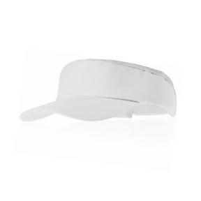 Sun visor