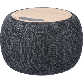Wireless speaker