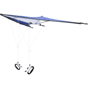 Kite