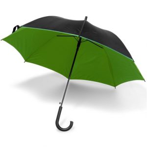 Automatic umbrella V4118