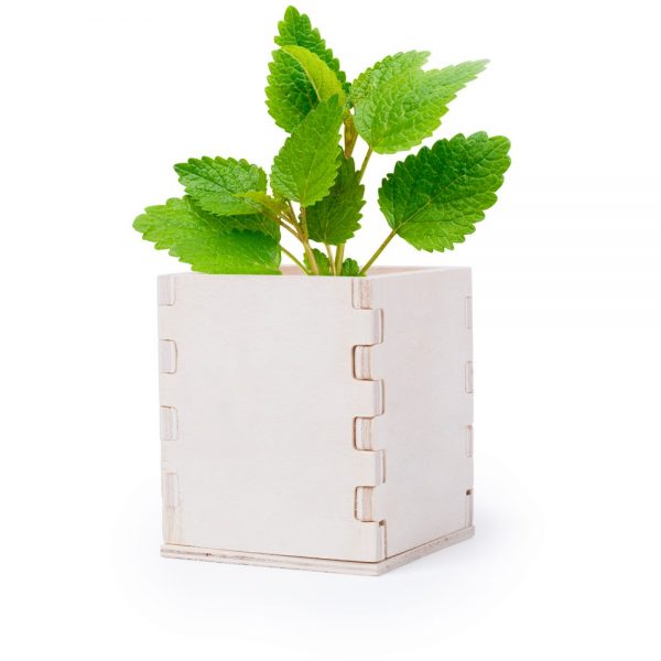Wooden pot with mint