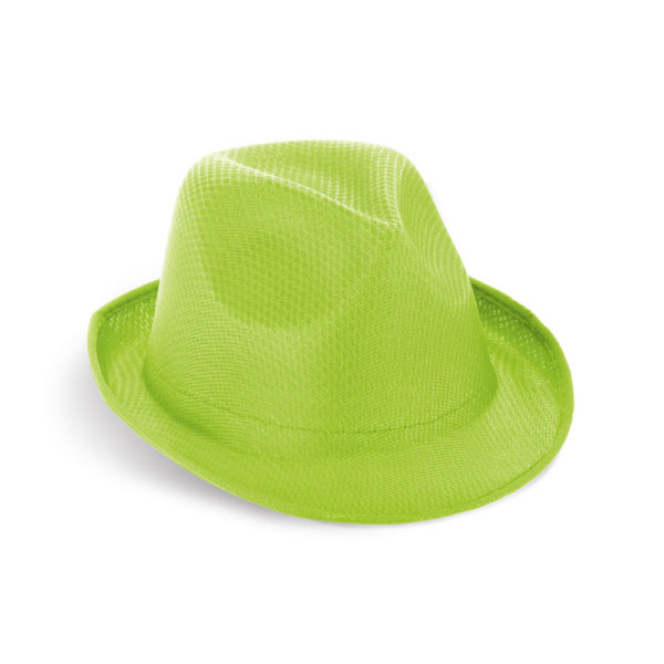 Colorful hat HD99427