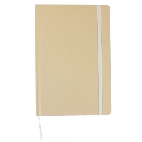 ECO notebook V2879