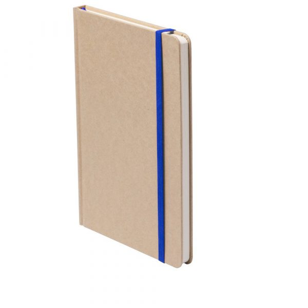 ECO notebook V2879