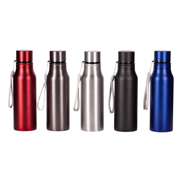 Stainless steel bottle R08418
