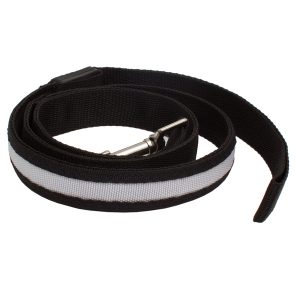 Dog leash R73622