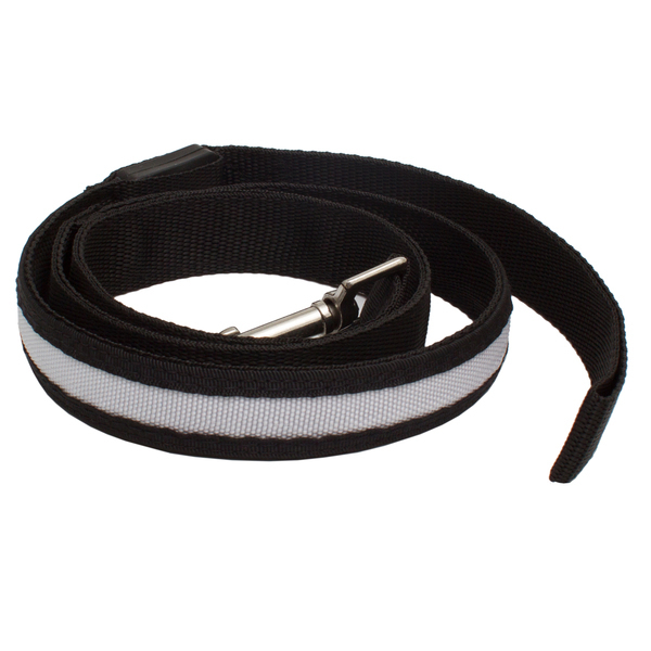 Dog leash R73622