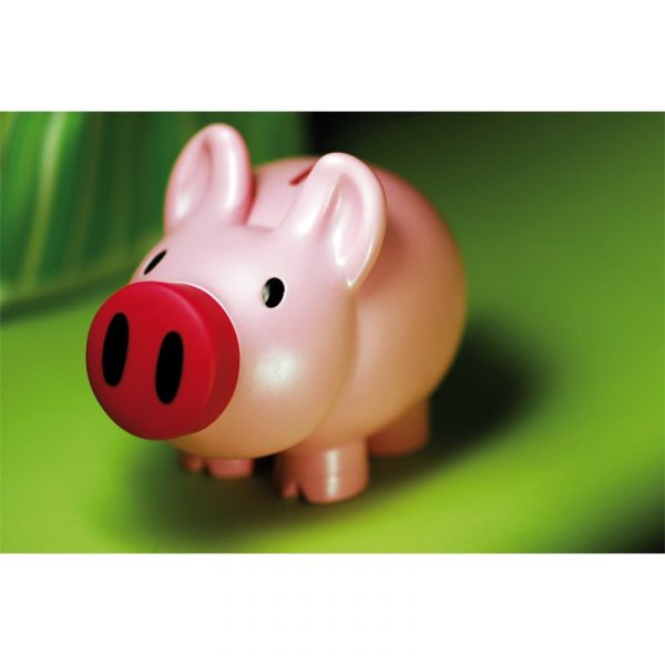 Piggy bank R73882