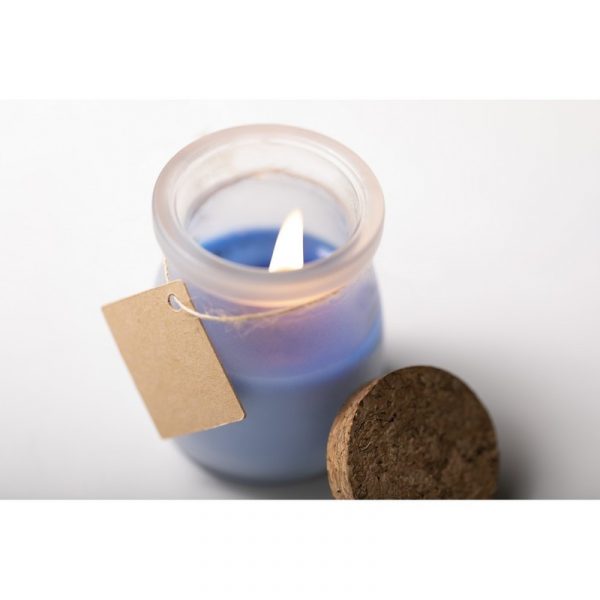 Scented candle V8813