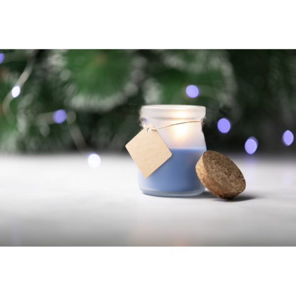 Scented candle V8813