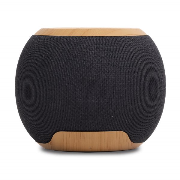 Bluetooth speaker with radio R64381