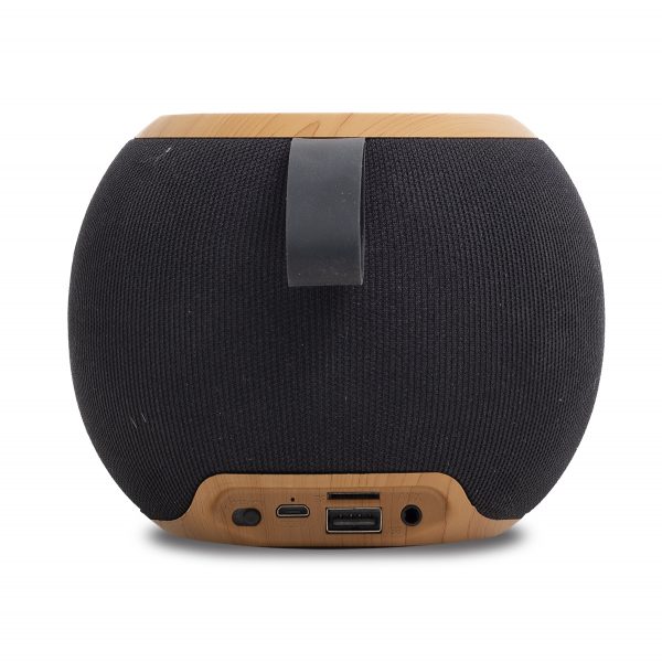 Bluetooth speaker with radio R64381