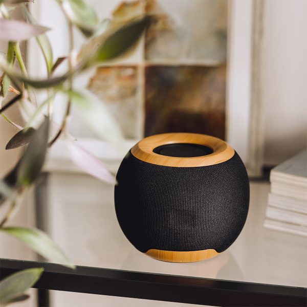 Bluetooth speaker with radio R64381