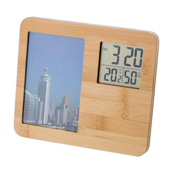 Bamboo weather station V0039