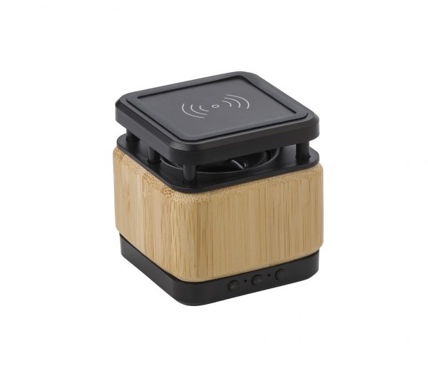 Wireless speaker and charger V0121