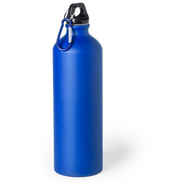 Sports bottle 800 ml V0456