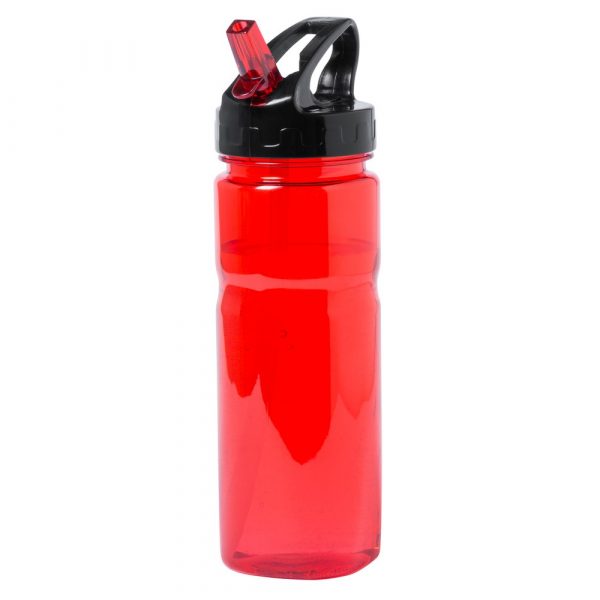 Sports bottle V0469