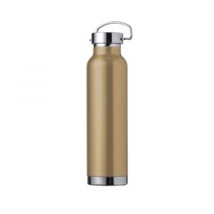 Thermal bottle 650 ml V0970