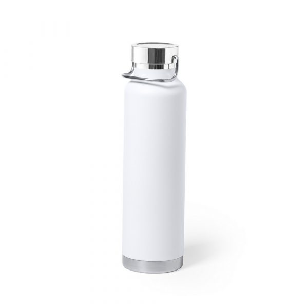 Thermal bottle 650 ml V0970