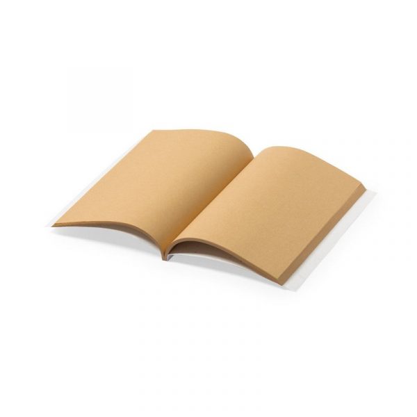 Notebook with seed paper V1098