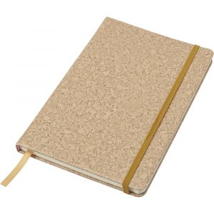Notebook V2870
