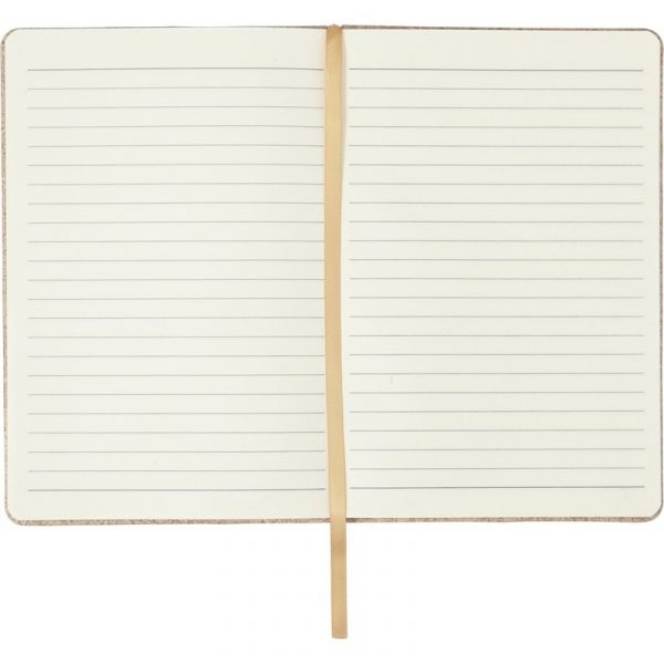 Notebook V2870