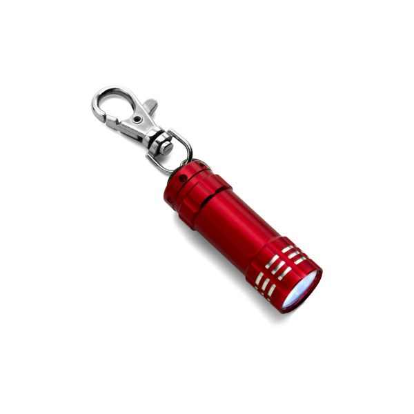 Keychain with carabiner V4193