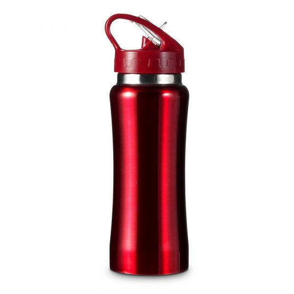 Sports bottle 600 ml V4656