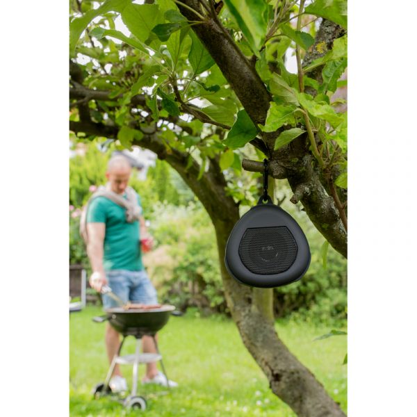 Wireless speaker V7281