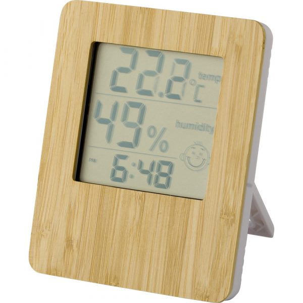 Weather station V8304