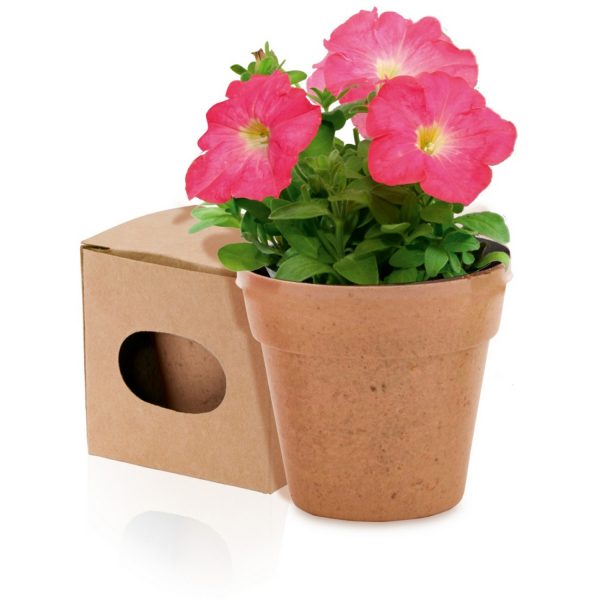 Flower pot with soil V8530
