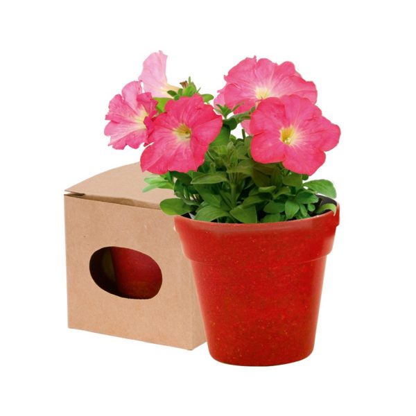 Flower pot with soil V8530