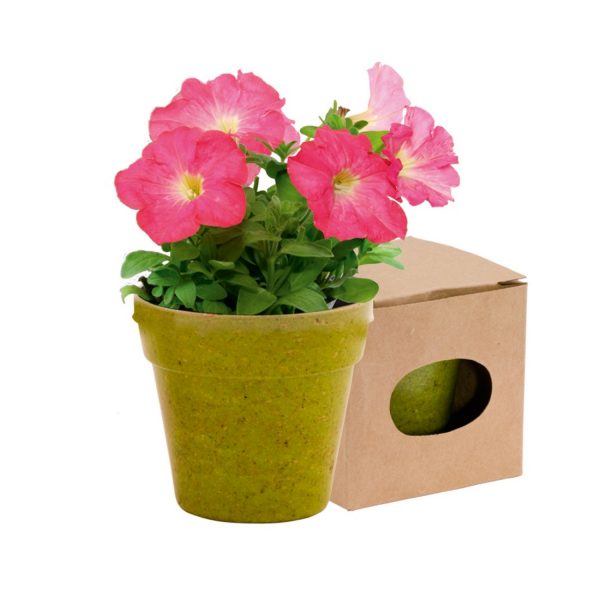 Flower pot with soil V8530