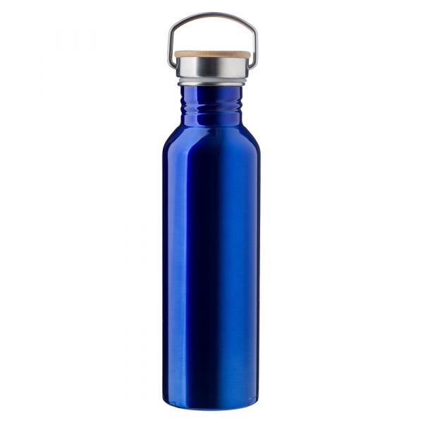 Sports bottle 700 ml V9974