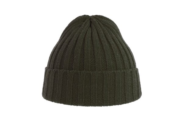 Beanie with cuff SHORE