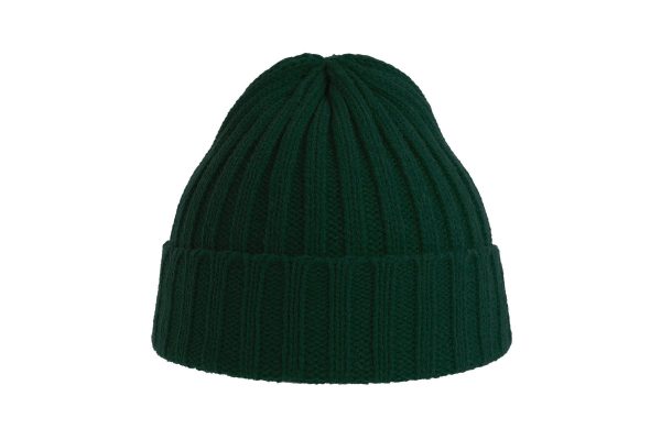 Beanie with cuff SHORE