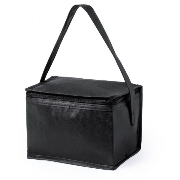 Cooler bag V0529