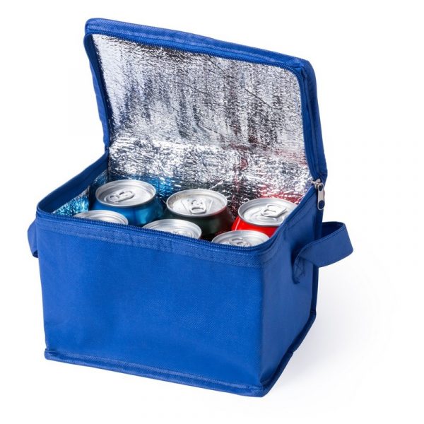 Cooler bag V0529