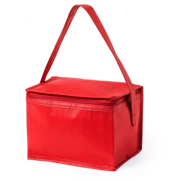 Cooler bag V0529