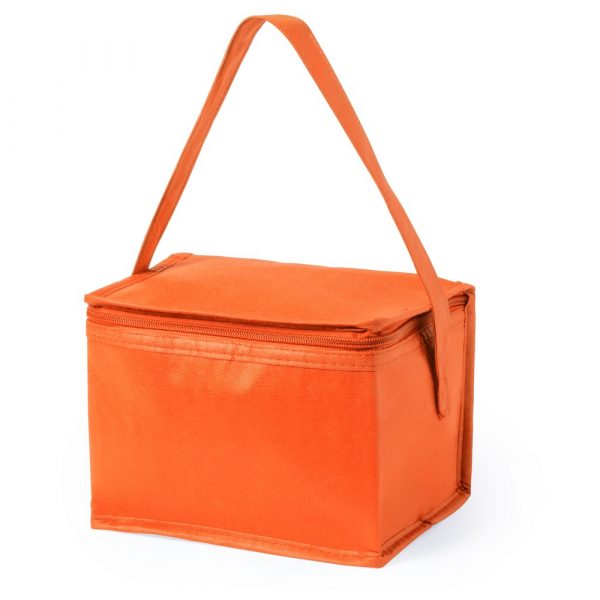 Cooler bag V0529