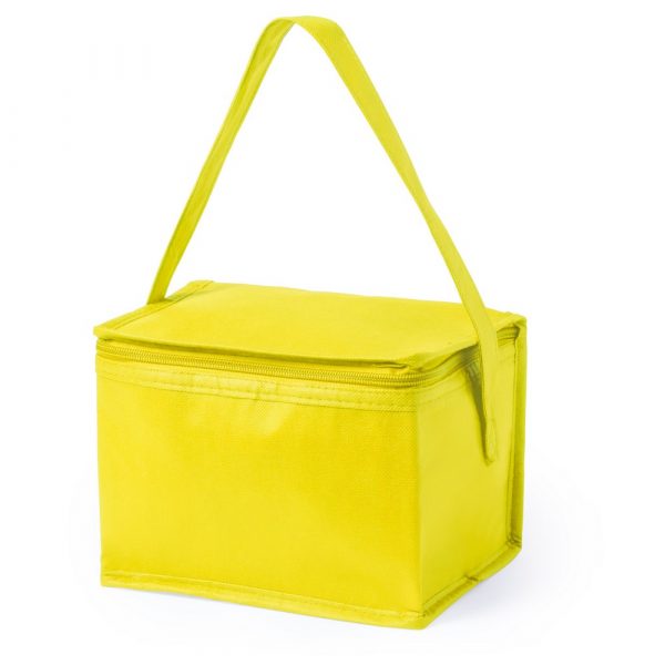 Cooler bag V0529