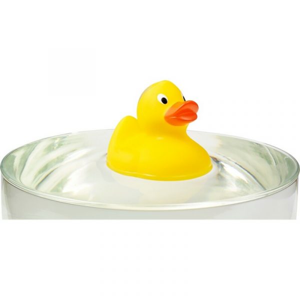 Rubber duck V7978