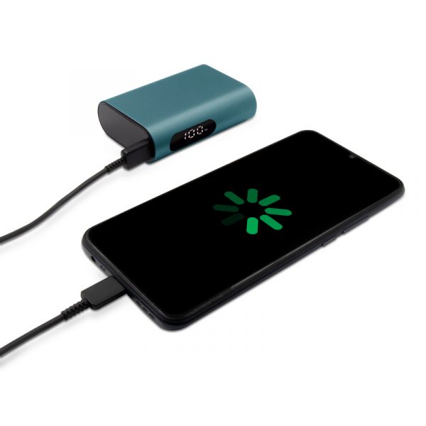 Power bank V1379